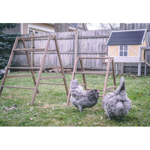 Coops & Feathers Portable AFrame Roosting Ladder & Reviews Wayfair